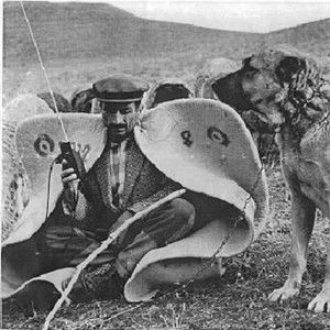 Meet your Posher, Jess